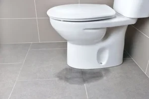 Photo of a leaking toilet. The PipeWorks plumbing blog is your go-to source for insights and expert tips.
